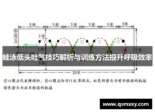 蛙泳低头吐气技巧解析与训练方法提升呼吸效率
