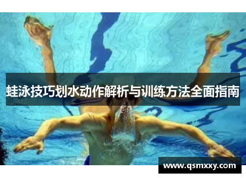 蛙泳技巧划水动作解析与训练方法全面指南