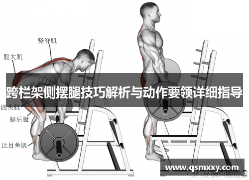 跨栏架侧摆腿技巧解析与动作要领详细指导